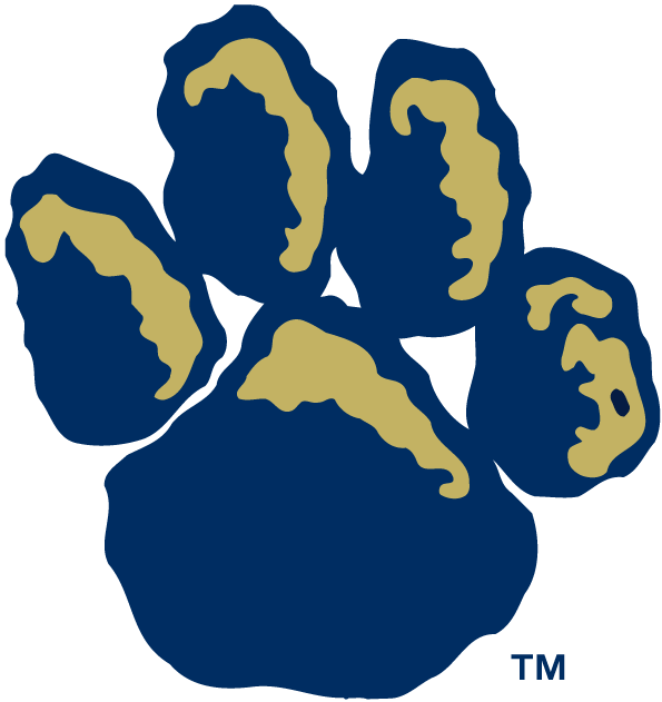 Pittsburgh Panthers 1997-Pres Alternate Logo v2 iron on transfers for T-shirts